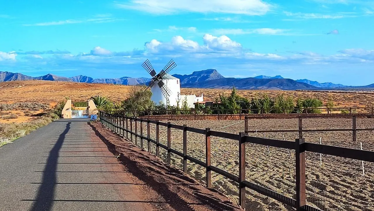 Finca El Molino B&B Fuerteventura contacts