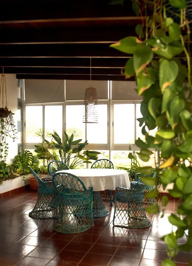 Bed & Breakfast Finca El Molino B&B Fuerteventura Hospinal